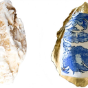 Extra Large Oyster Shell for Crafts 5"-6", Oyster Shell for Crafting, Painting, Wedding, Christmas, Beach Theme Decor and Clean Odor-Free Sea Shells for Crafting 1 pc.