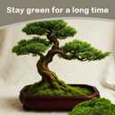 SETRUE Fake Green Moss for Crafts, 5.3 OZ Artificial Fake Green Moss for Planters Faux Moss Decor for DIY Decorative Table Centerpieces Decor Fairy Garden Model Making (150g)
