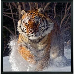 Mxtallup 22x23 Picture Frames Solid Wood Poster Frame for Wall 22x23 Photo Frames Family Black (T22B2223)