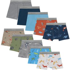 Hanes boys Hanes Boys' and Toddler Underwear, Comfort Flex Wb Boxer Briefs, 10-pack (4-5T, Days of the Week, Blue, Tan, Green) Hanes boys Hanes Boys' and Toddler Underwear, Comfort Flex Wb Boxer Briefs, 10-pack (4-5T, Days of the Week, Blue, Tan, Green)