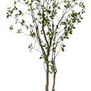 Nearly Natural 8ft Minimalist Artificial Citrus Tree, Faux Greenery for Indoor Living Room Home Decor