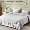 Silk Comforter Set 4 Pieces, All-Season 100% Silk Filled Comforter with Detachable Duvet Cover, Moisture-Wicking, Bedding Set with Comforter Insert, Duvet Cover, 2 Pillowcases (Grey, Queen)