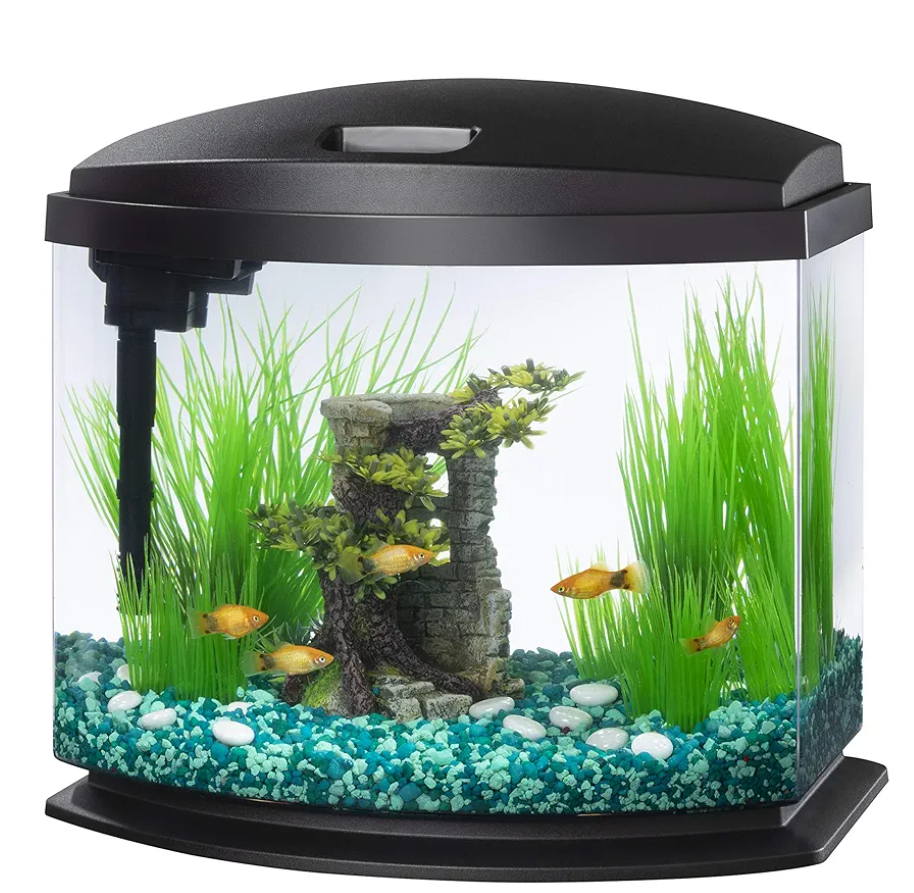 Aqueon LED MiniBow Small Aquarium Fish Tank Kit with SmartClean Technology, Black, 5 Gallon Missing Part