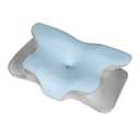 Blue Pryden Memory Foam Pillow