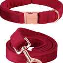 ARING PET Velvet Dog Collar Set, Cute Velvet Dog Collar and Leash Set, Soft & Comfy, Adjustable Christmas Red Collars with Metal Buckle for Small Medium Large and Girl Boy Dogs