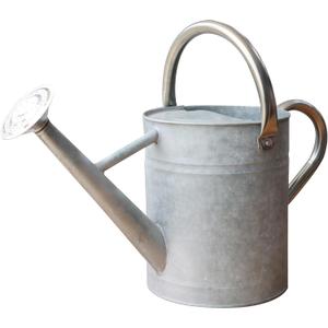 Metal Watering Can for Outdoor and Indoor Plants, Watering Can Decor, 1 Gallon (Zinc Stainless Steel Handle)