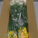 AITISOR Outdoor Artificial Flowers, 16 Bundles UV Resistant Realistic Faux Plastic Plants with Colorful Daisies for Porch, Patio, Yard, Garden, Spring Home Decor (Window Box & Planters) (Mix)