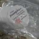 Leelosp 20 Sets Pumpkin Baby Shower Favors 10 Pumpkin and 10 Maple Leaf Soap 20 Thanks Cards 20 Gift Bags with String for Fall Thanksgiving Bridal Shower Wedding Autumn Party Guest Gifts