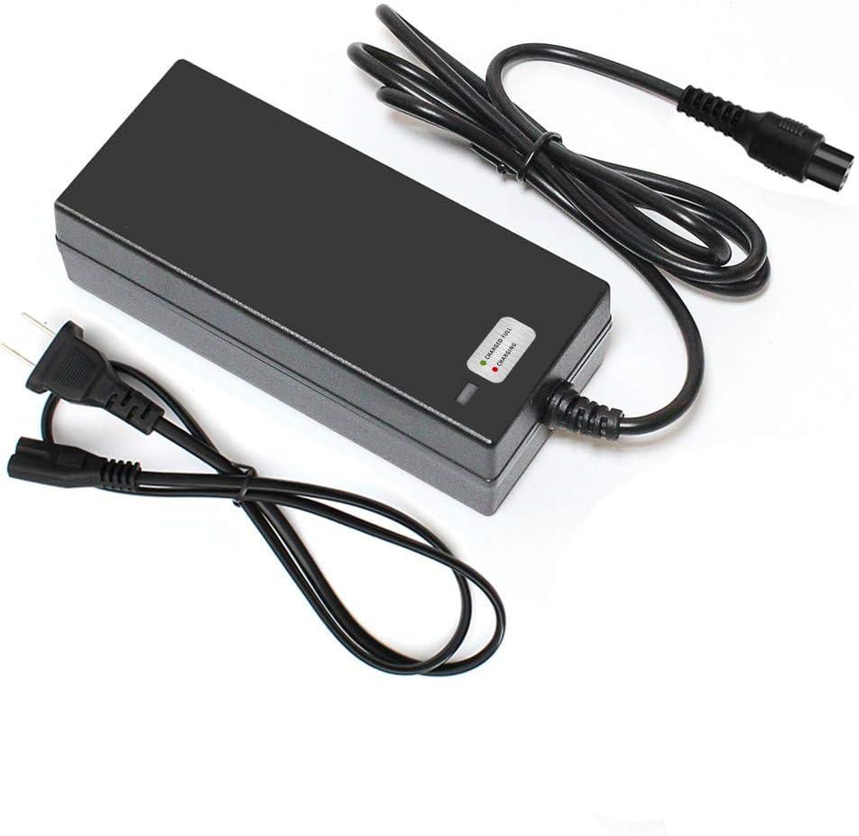 EVAPLUS 36W Battery Charger for Razor E100 E200 E300 E125 E150 E500 E175 PR200 E225S E325S MX350 3-Prong Inline Connector 24V 1.5A