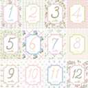 Baby Monthly Milestone Cards, 5 x 7 Inch First Holiday Cards, First Year Month Milestone Baby Shower, 12 Monthly Newborn Photo Props for Boys Girls, 12 Designs