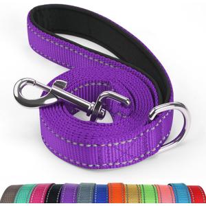 4/5/6 Ft Dog Leash with Neoprene Handle and Highly Reflective Strips on Both Side, Strong Nylon Dog Leash for Traning and Walking, Purple, 4FT