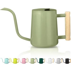 Watering Can Indoor Plants, 35oz Small Watering Can Indoor Stainless Steel Metal Watering Can Modern Decorative Watering Pot with Long Spout for Indoor House Plant Bonsai Garden Flowers (Sage Green)