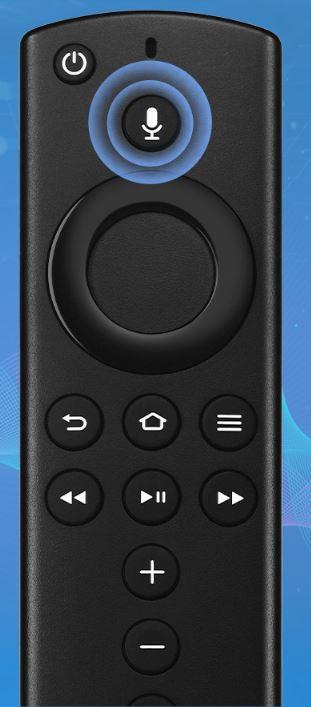 Replacement with Voice Controller 0228