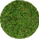 SuperMoss (26315) Moss Soil Toppers (Place Mats), Fresh Green, 12" (3 units)