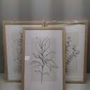 Neutral Botanical Prints Wall Art Decor Plant Minimalist Canvas Pictures Vintage Beige Wall Art Modern Farmhouse Line Poster Boho Abstract Painting Artwork for Bedroom 16x24 Inch Framed Set of 3