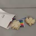 gisgfim 16 Pack Fall Wind Chime Kits for Kids Make Your Own Maple Leaves Wind Chime Wooden DIY Arts and Crafts for Thanksgiving Autumn Party School Classroom Decorations Supplies Birthday Favor