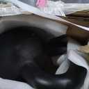 Yes4All 35lb Kettlebell Set of 2 Cast Iron for Dumbbell Weights Exercises, Gym, Fitness, Full Body Workout Equipment Push up, Grip and Strength Training