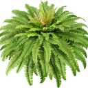 Artificial Ferns for Outdoors, 45" Large Fake Ferns 60 Fronds Faux Boston Fern Plant for Planter Garden Home Yards Farmhouse Decor Light Green