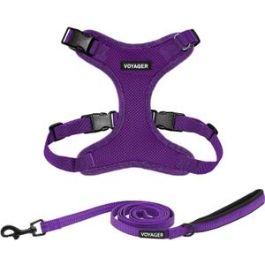 Voyager Step-in Lock Dog Harness w Reflective Dog Leash Combo Set with Neoprene Handle 5ft - Supports Small, Medium and Large Breed Puppies/Cats by Best Pet Supplies - Purple, XS (XS (Chest: 13 - 16" * Fit Cats))