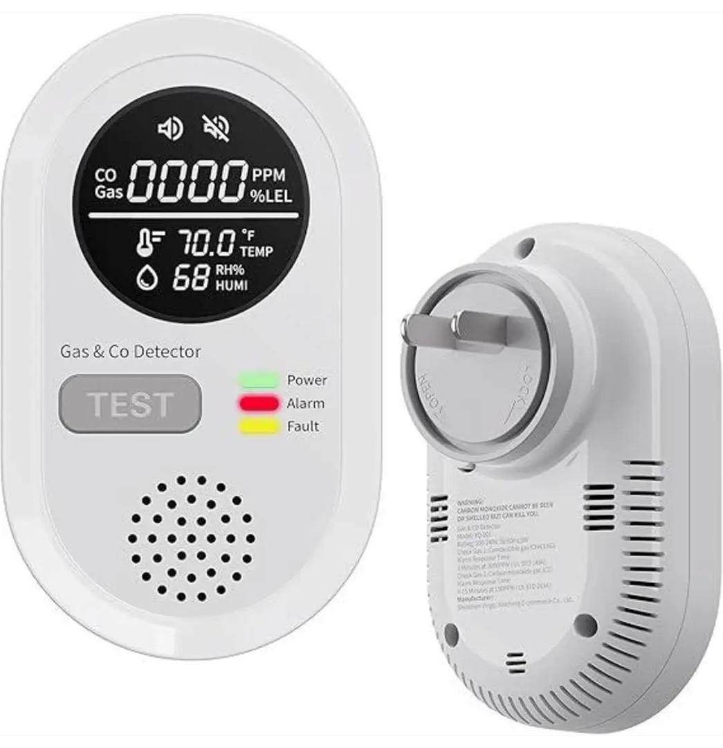 Carbon monoxide and gas detector