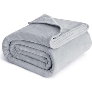 Bedsure GentleSoft Fleece Blankets Queen Size Light Grey - Bed Blanket Soft Lightweight Plush Fuzzy Cozy Luxury Microfiber, 90x90 inches