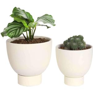 vensovo White Terracotta Self Watering Plant Pot - 2 PCS 6 Inch & 8 Terra Cotta with Drainage Hole and Saucer, Small & Large Clay Flower Pot with Tray, Plant Pot for Indoor Outdoor