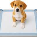 Patented SureGrip Pee Pad Holder - Fits All Common Pad Sizes, 100% of Urine Stays on Pad, Built-in Pad Grips Secure Pad to Holder, Holder Can Secure to Floor, No Sliding or Folding