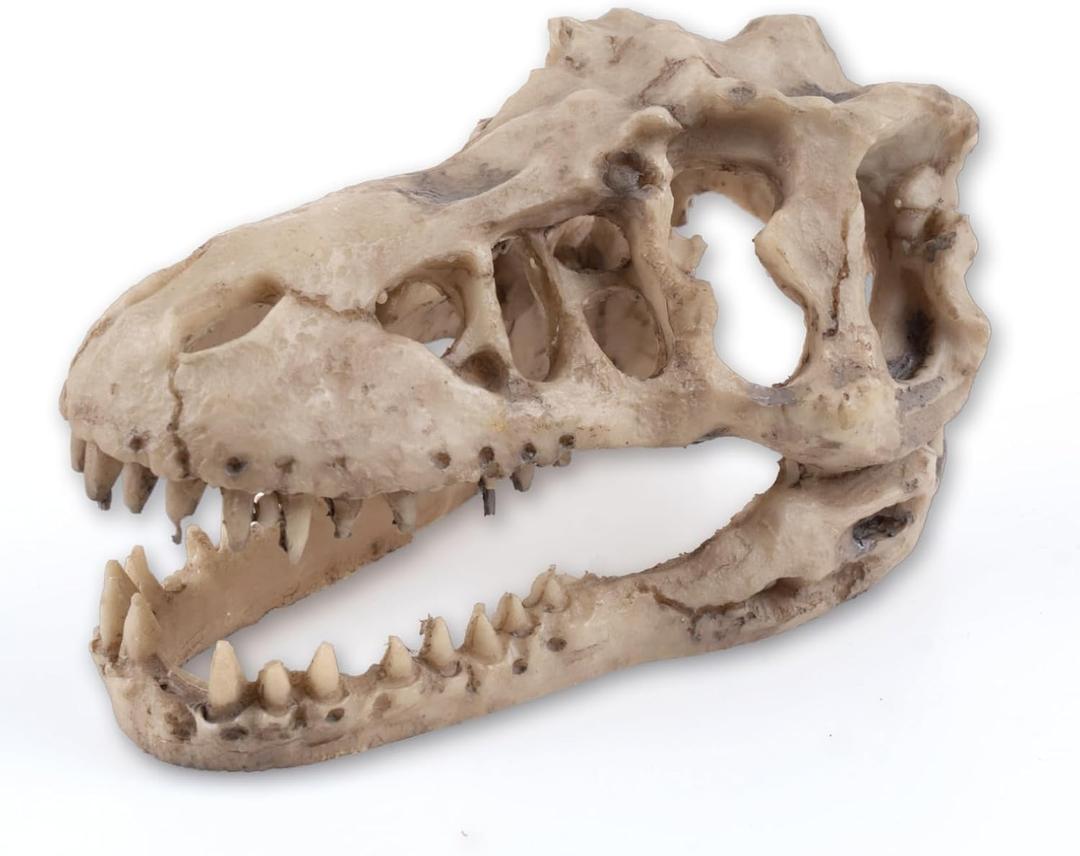 Dinosaur Skull Aquarium Dcor - Fish Tank Decoration Hideaway for Fish,Natural Look, 6.3"x4"x4" - Fun Underwater Environment! (6.3")