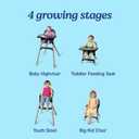 Graco Ready2Dine DLX 4-in-1 Highchair, Portable High Chair with 4 Growing Stages, Foldable Baby High Chair, Toddler Feeding Seat, Youth Stool, and Big Kid Seat, Linden