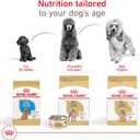 Royal Canin Breed Health Nutrition Poodle Puppy Dry Dog Food, 2.5 lb Bag