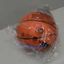 Wilson Evolution Basketballs, Size 7 - 29.5"