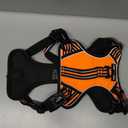 rabbitgoo Dog Harness for Large Dogs, No Pull Pet Harness with Soft Padded Handle, Adjustable Reflective Vest with 3 Buckles, Easy Walking Harness with 2 Leash Clips, Orange, Medium