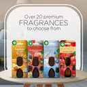 Air Wick Essential Mist Refill, 2ct, Pumpkin Spice, Fall Scent, Essential Oils, Air Freshener (0.67 Fl Oz (Pack of 2))