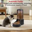 Automatic Cat Feeder, 3.8L Large Gravity Cat Food Dispenser with Detachable Top Lid, Visible Bottle and Stainless Steel Bowl for Pets (Full Black)
