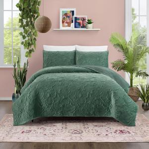 Jungalow Secret Garden 3-Piece Ultra Soft Green Velvet Quilt Set, King