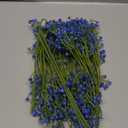 N&T NIETING Babys Breath Artificial Flowers Bulk, 10Pcs Blue Fake Gypsophila Bouquet Flowers Real Touch Faux Babies Breath Arrangement for Wedding Floral Party Home Centerpieces Vase Decoration, Blue