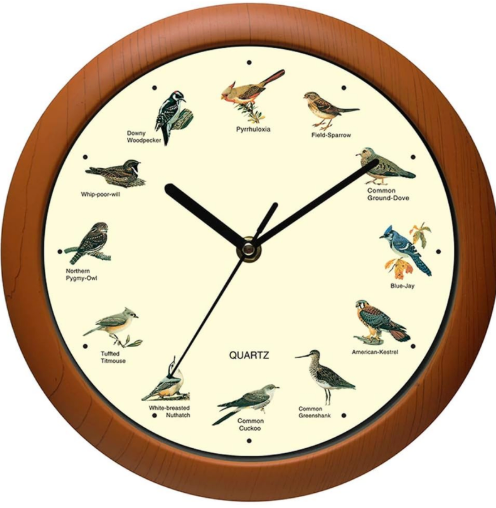 Singing Bird Wall Clock 12 Inch of The Bird Names and Songs