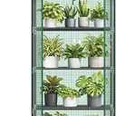 NEWBULIG 27"x19"x63" Mini Greenhouse, with Durable Zipper Door 4 Tier | Small Greenhouse for Outdoors Indoor Balcony, Porch, Garden, Patio, Backyard Green houses, Green