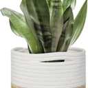 Small Wicker Plant Basket Indoor, 8"x8" Jute Spliced Cotton Rope Basket Planter Up to 7" Pot, Modern Flower Tree Pots Cover, Small Floor Woven Planters, Home Decor Storage Bin (White and Jute)