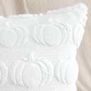 Artscope Fall Pillow Covers 16 x 16 Set of 2 Decorative Autumn Harvest Holiday Pumpkin Throw Pillow Cases Soft Plush Faux Fur Couch Cushion Case for Farmhouse Halloween Sofa Bed Room Home Decor-White