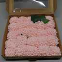 Ling's Moment Blush Dahlia Foam Artificial Flowers Real Touch Faux Fake Flower for Home Decor Graduation Baby Shower Decorations Outdoors Party Favors Wedding Gifts Centerpieces Arrangements 25pcs