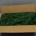 Hananona 2 Pcs 6 Ft Artificial Norfolk Pine Garlands, Real Touch Winter Pine Garland, Green Artificial Greenery Garland for Table, Mantle, Wall, Indoor, Outdoor Christmas Decorations (2, 6 FT)