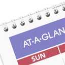 AT-A-GLANCE 2025 Erasable Calendar, Dry Erase Wall Planner, 12" x 17", Small (PMLM022825)