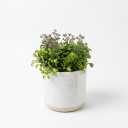 Artificial flowers in a pot