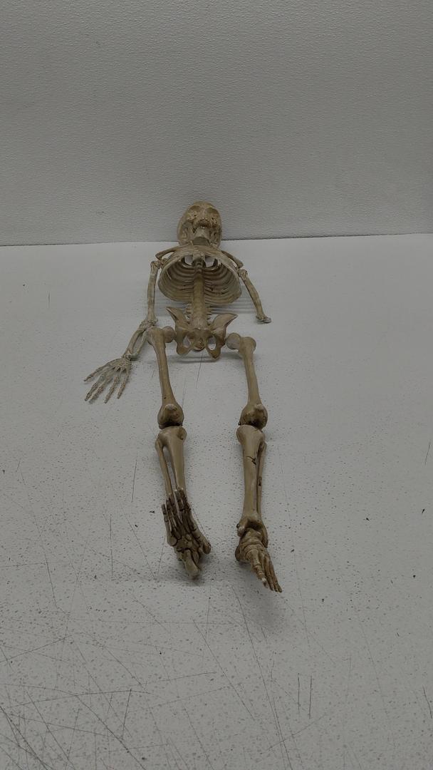1-Pack 36-Inch Skeleton Halloween Decoration, 3ft Posable Halloween Skeleton Decor with Movable Joints for Lawn, Haunted House, Graveyard, Trunk or Treat, Lifelike Skeleton Model