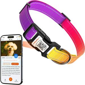 Personalized Dog Collars for Small Dogs, Reflective Dog Collar QR Code Name Tags, Soft Nylon, (Purple-Yellow Gradient, Small)