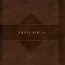 RVR 1960 Biblia letra grande tamao manual edicin tierra santa, caf smil piel Mass Market: Santa Biblia (Spanish Edition)