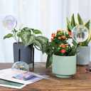 Soilagua 13 oz Extra Large Wick-Controlled Plant Watering Globes, Self Watering Globes for Everyday and Vacation Use, Iridescent Glass Water Bulbs, Automatic Plant Waterer, 4 Pack