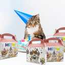 2 x 10Pcs Cat Party Favors Treat Boxes Kitten Theme Gift Boxes Goodies Boxes for Kids Birthday Party Supplies Baby Shower Cat Theme Party Decorations (colorful)