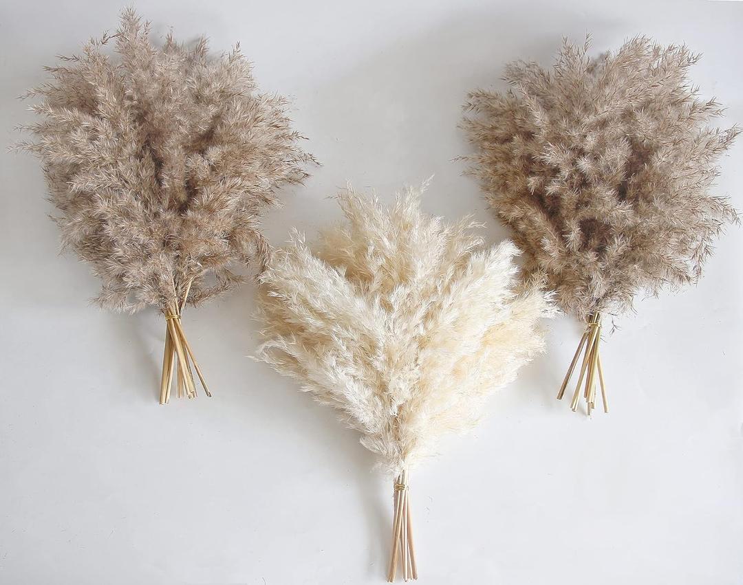 30 PCS Boho Decor, Fluffy Pompas Grass, Natural Dry Pampas Grass Small, Short Pampass Bulk for Boho Room, Coffee Table Decor (17 inch )